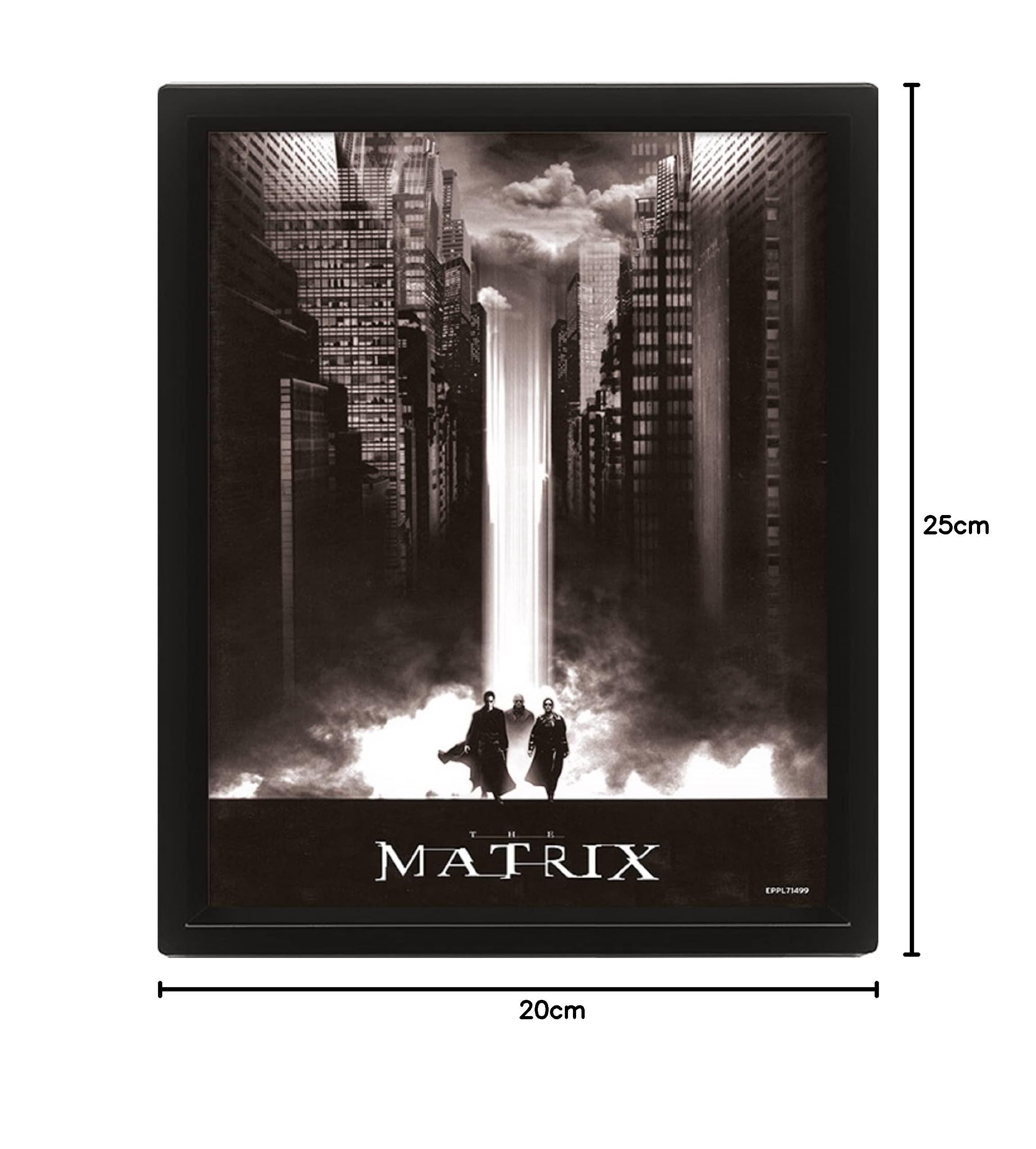 Amazon.co.jp: Pyramid International The Matrix ポスター 3D